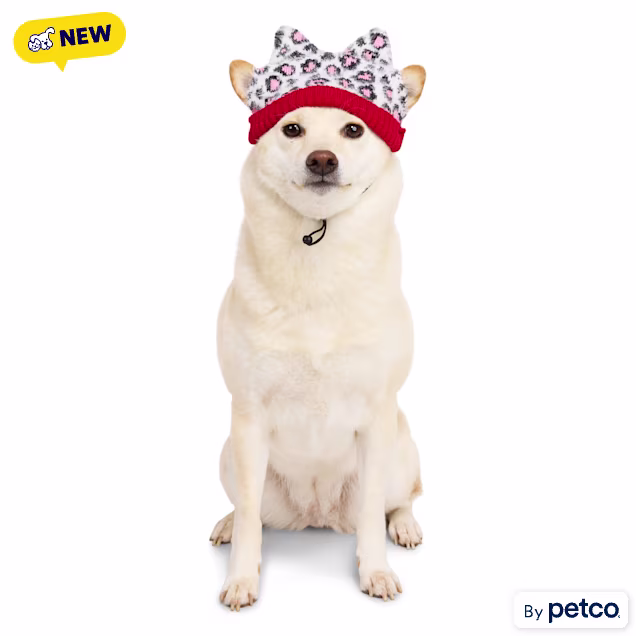 YOULY Leopard Print Dog Hat, Leopard Print, X-Small/Small - Carousel image #1