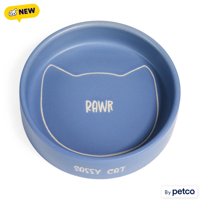 EveryYay Rawr Ceramic Cat Bowl, 1.5 Cups - Carousel image #1