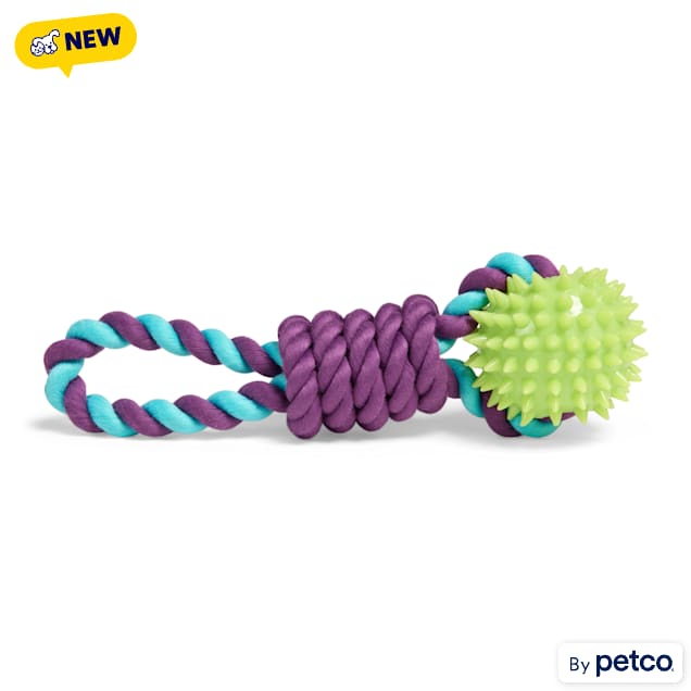 Leaps & Bounds Spiney Rope Chew & Tug Dog Toy, Small - Carousel image #1