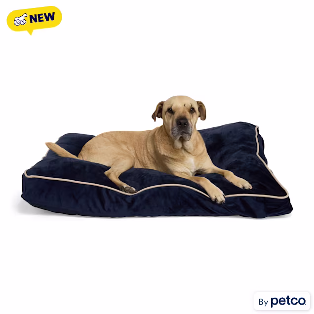 EveryYay Essentials Rectangle Lounger Dog Bed, 40" L X 30" W X 4" H, Navy, Large - Carousel image #1