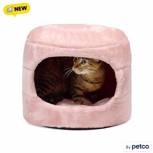 EveryYay Honeycomb 2-in-1 Convertible Cat Bed, 15.75" L X 15.75" W X 13.5" H, Small - Carousel image #1
