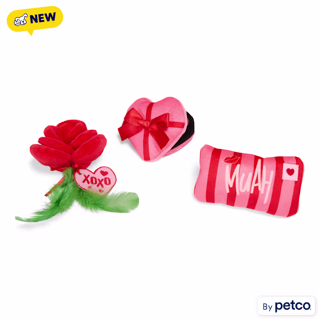 YOULY Valentine's Day Catnip Gift Set, X-Small - Carousel image #1