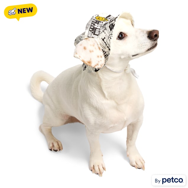 YOULY Pop Art Smiley Pet Bucket Hat, X-Small/Small - Carousel image #1