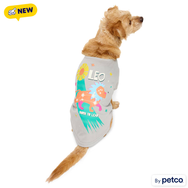YOULY Leo Zodiac Sign Pet T-Shirt, Small - Carousel image #1