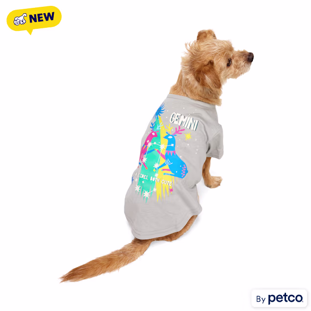 YOULY Gemini Zodiac Sign Pet T-Shirt, Small - Carousel image #1