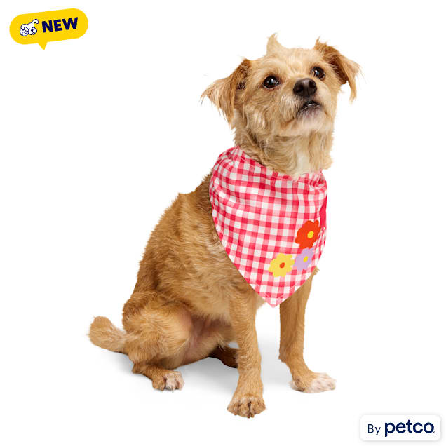 YOULY Gingham Dog Bandana, X-Small/Small - Carousel image #1