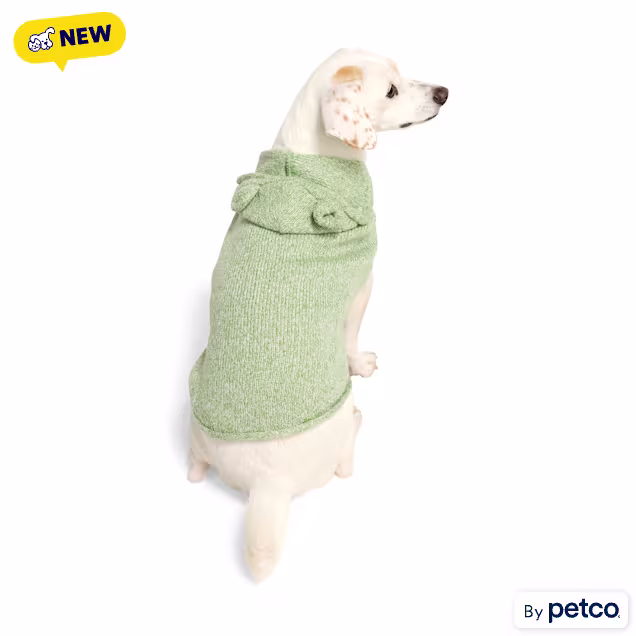 YOULY Teddy Bear Ears Pet Sweater, Green, X-Small - Carousel image #1