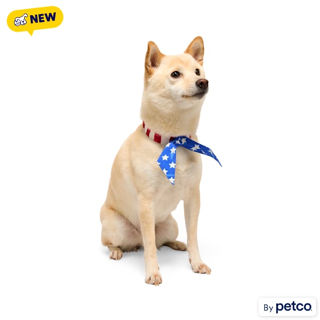 YOULY American Flag Tie Dog Bandana, X-Small/Small - Carousel image #1