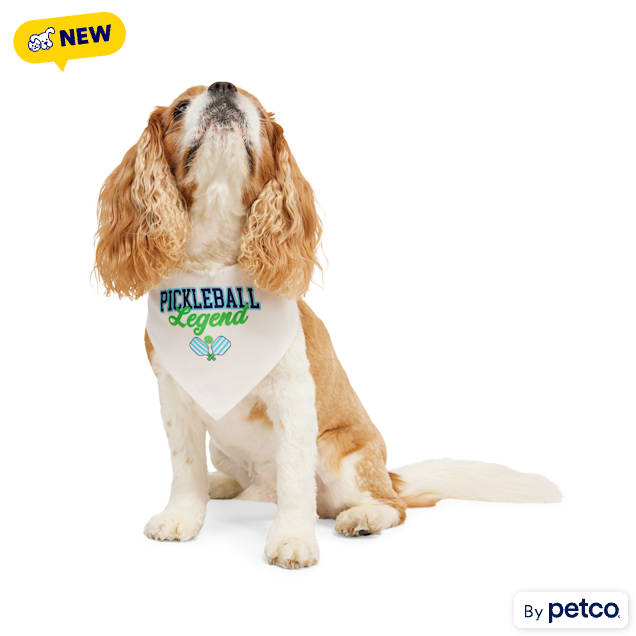 YOULY Pickleball Dog Bandana, X-Small/Small - Carousel image #1
