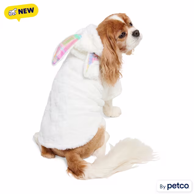 YOULY Easter Bunny Pet Hoodie, X-Small - Carousel image #1
