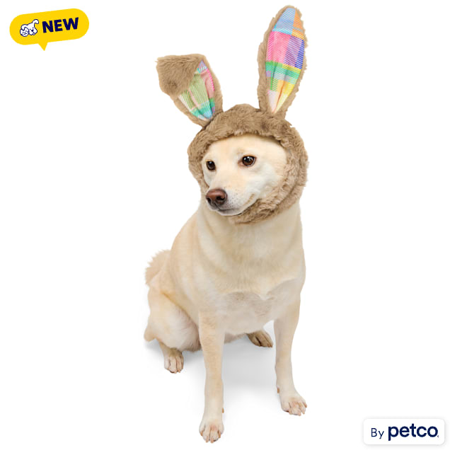 YOULY Easter Bunny Ears Pet Hat, X-Small/Small - Carousel image #1