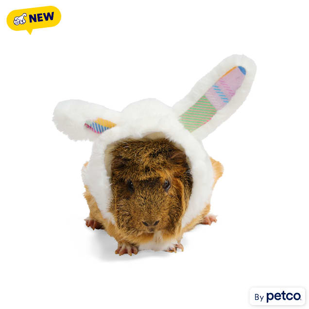 YOULY Easter Bunny Small Animal Hoodie - Carousel image #1