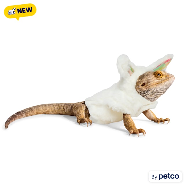 YOULY Easter Bunny Bearded Dragon Hoodie - Carousel image #1