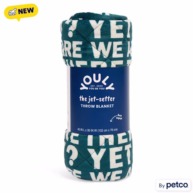 YOULY Are We There Yet? Pet Throw Blanket, 40" L X 30" W - Carousel image #1