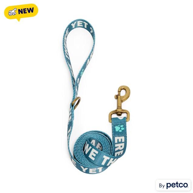YOULY Are We There Yet Dog Leash, 6-ft long, 1-in wide - Carousel image #1