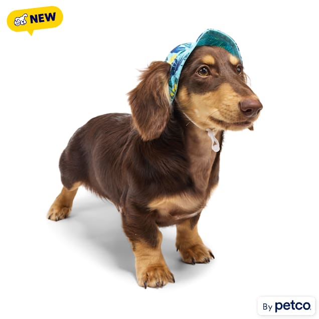 YOULY Cool-to-Touch Dog Hat, X-Small/Small - Carousel image #1