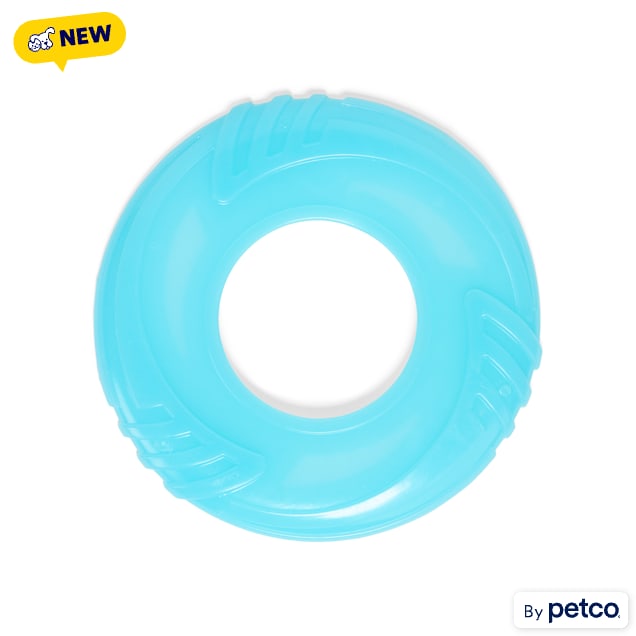 Leaps & Bounds Blue Glow in the Dark Disc Flyer Dog Toy, Medium - Carousel image #1