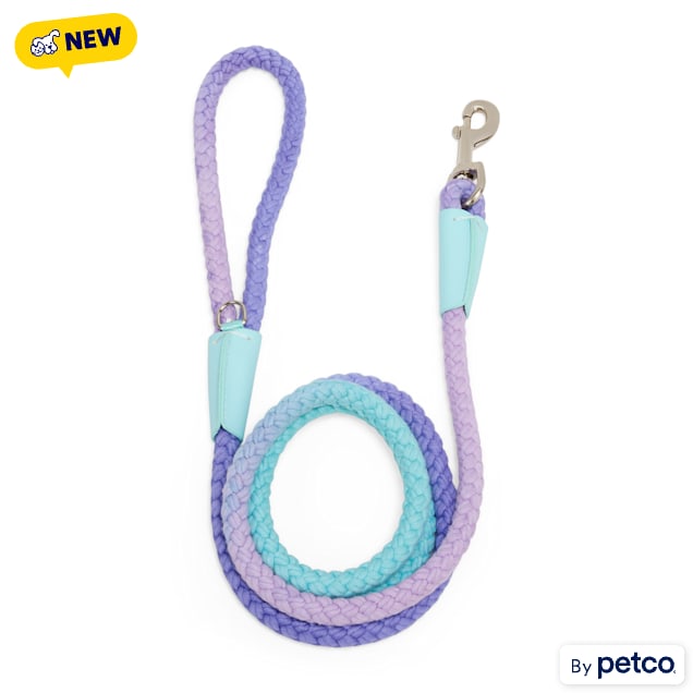 YOULY Ombre Rope Dog Leash, 6-ft long, 1/2-in wide, Blue/Purple - Carousel image #1