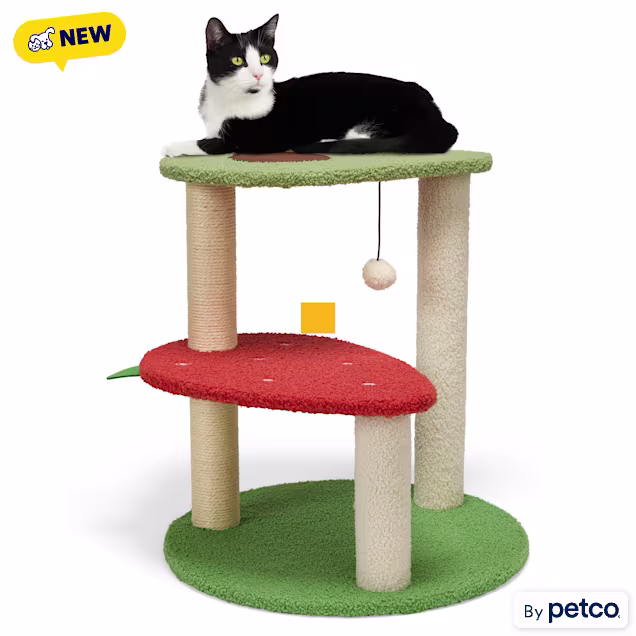 EveryYay Fruit Novelty 2-Level Cat Tree, 20.5" H - Carousel image #1