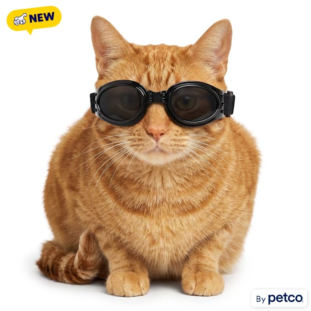 YOULY Dog Goggles Eyewear, Small/Medium - Carousel image #1