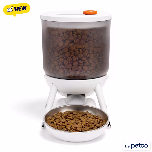 EveryYay Modern Lifted Automatic Pet Feeder, 3 Liters - Carousel image #1