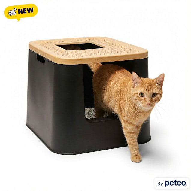 Sitemapcdatahttpabckniqoocomso Phresh Litter Boxnull