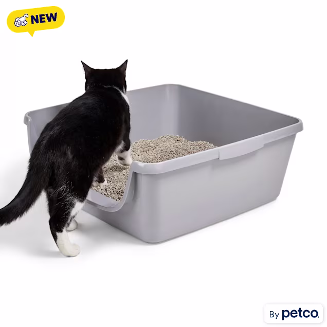 So Phresh Low Entry Senior Cat Litter Pan, 15.5" L X 19" W X 9" H, Grey - Carousel image #1