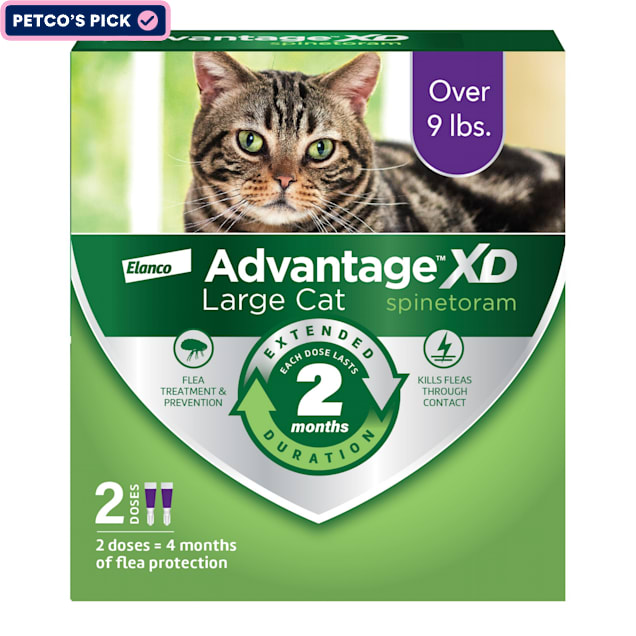 Petco advantage shop ii large cat