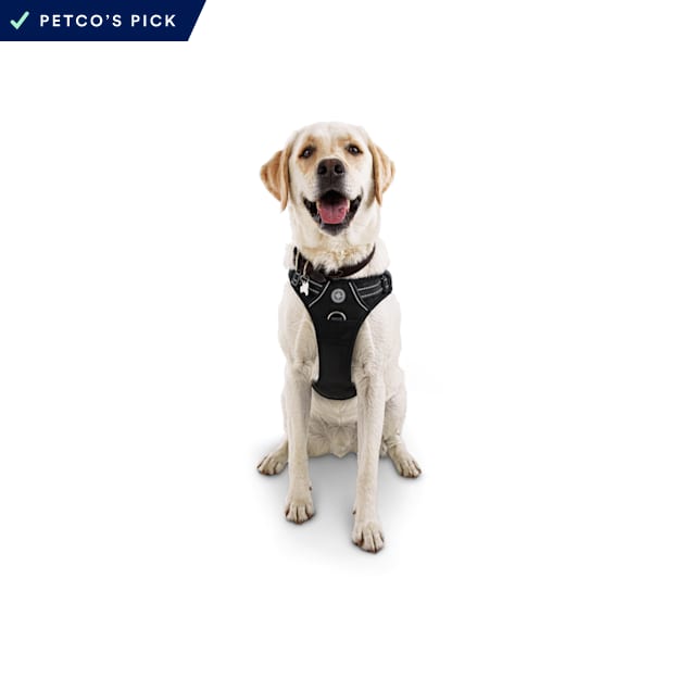 EveryYay Embrace the Pace Black Front Walking Dog Harness, Small - Carousel image #1