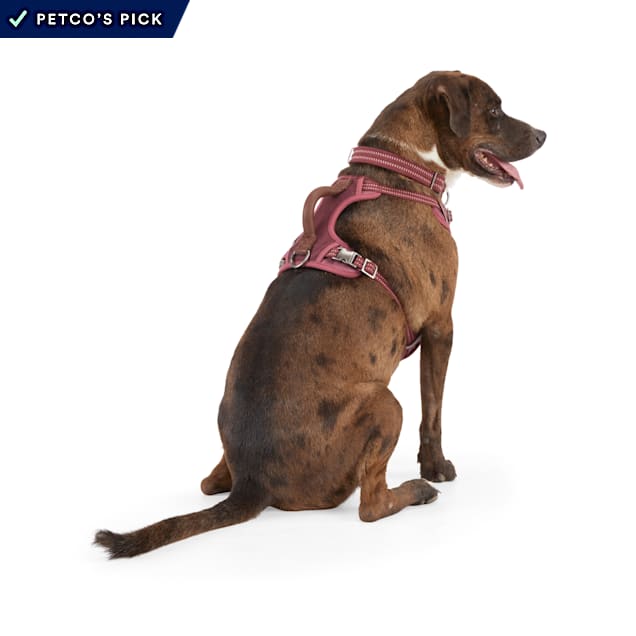 Reddy Burgundy Canvas Dog Harness, Medium - Carousel image #1