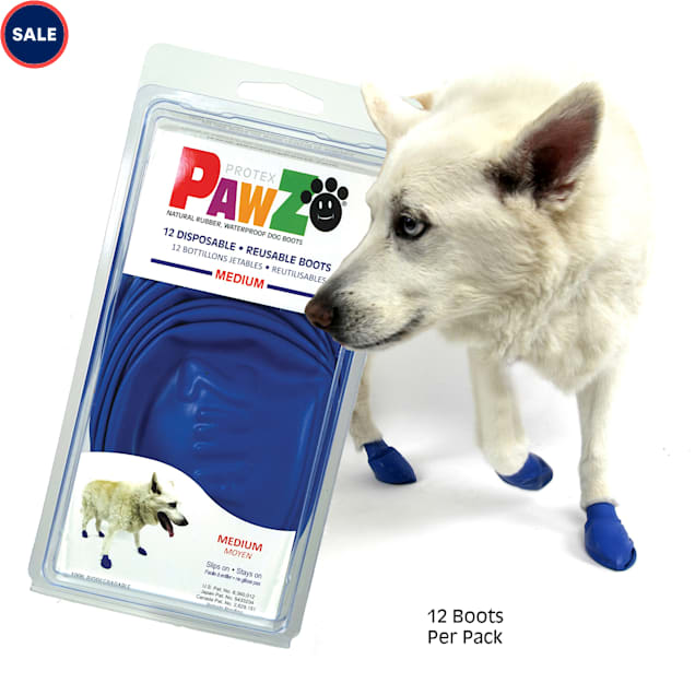 stay put dog socks