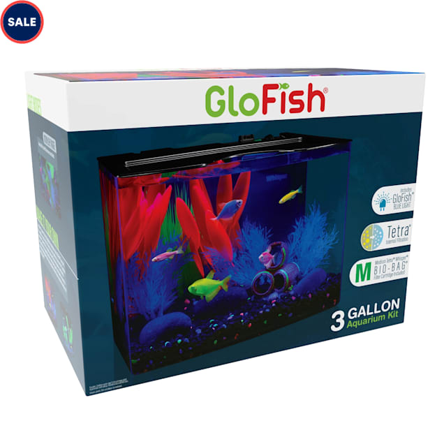 https www petco com shop en petcostore product glofish 3 gallon aquarium kit