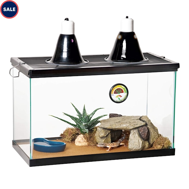 aqueon standard glass aquarium tank 10 gallon