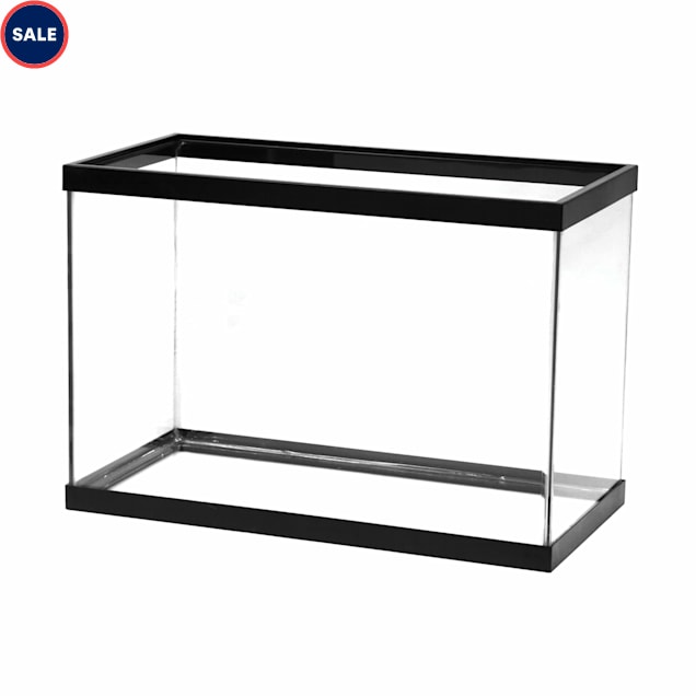 aqueon standard glass aquarium tank 20 gallon high