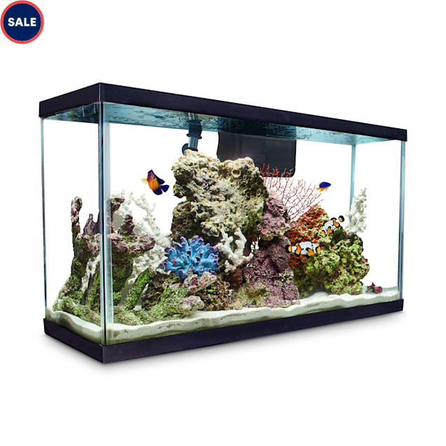 aqueon standard glass aquarium tank 29 gallon
