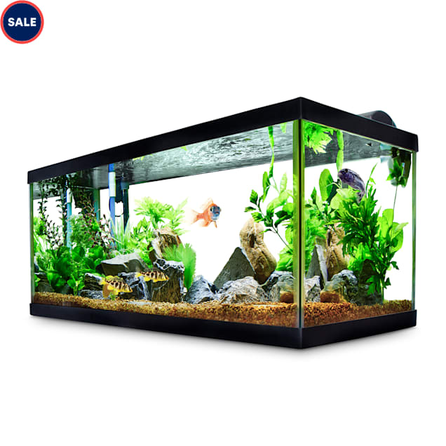 aqueon standard glass aquarium tank 40 gallon breeder