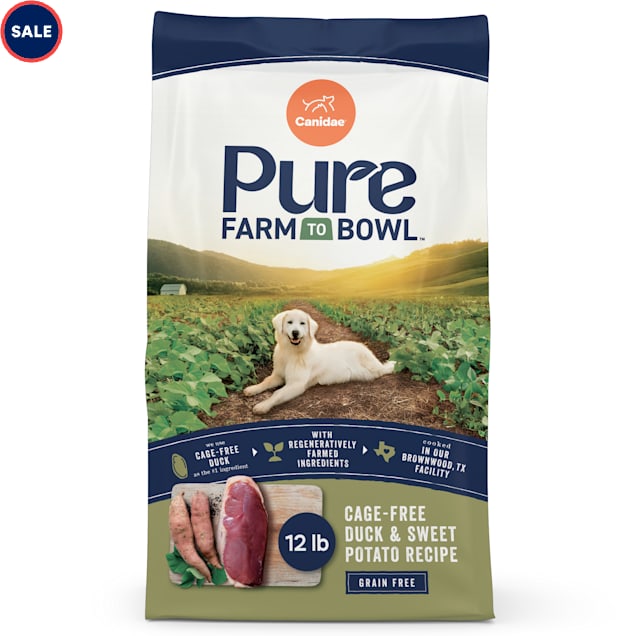 CANIDAE PURE Grain Free Limited Ingredient Real Duck & Sweet Potato Dry