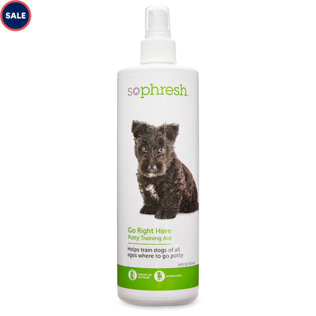 potty training aid spray