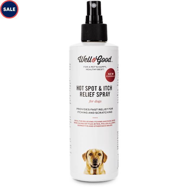 Well Good Hot Spot Itch Relief Dog Spray 8 Fl Oz Petco