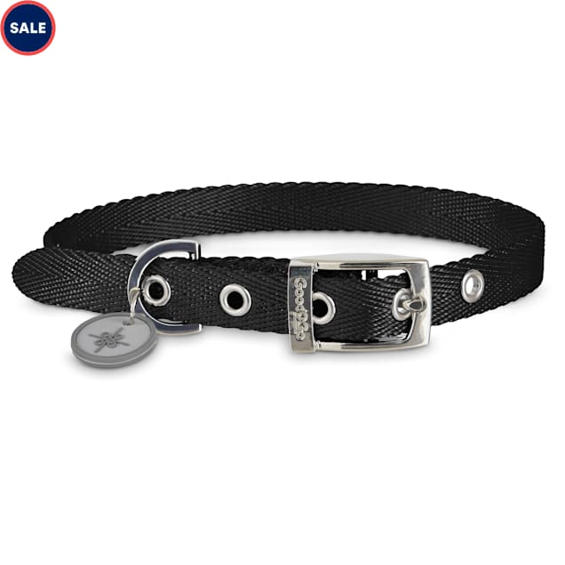 Collar with buckle Clearance