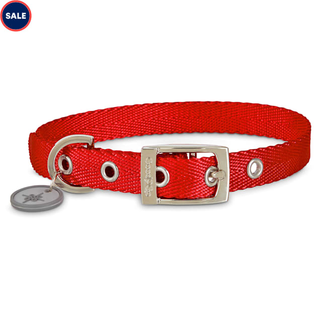 Good2Go Adjustable Red Nylon Buckle Dog