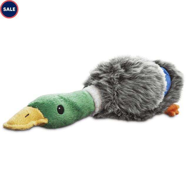 large plush duck dog toy