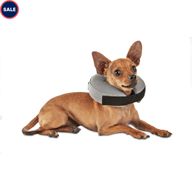 Well \u0026 Good Inflatable Collar for Dogs