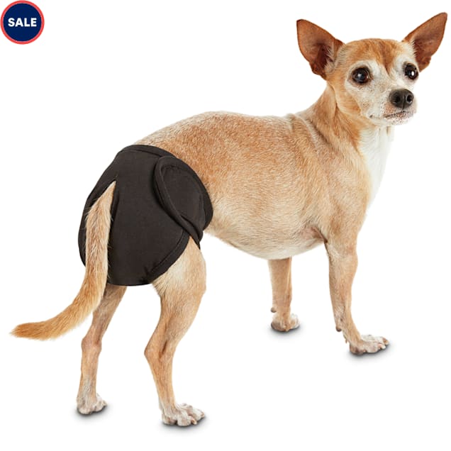 Dog diapers for chihuahua