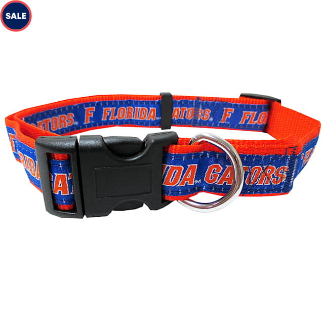 Florida gators dog collar Clearance