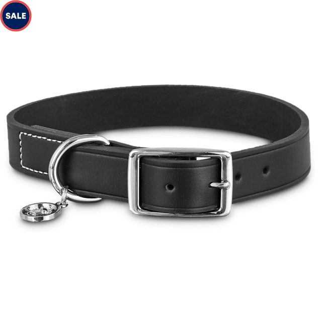 Petco leather collar clearance