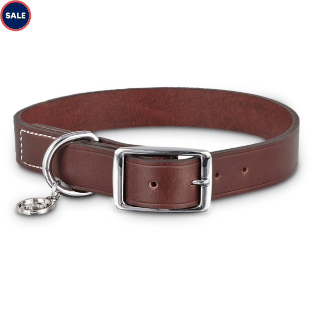 Are leather collars better for dogs Clearance