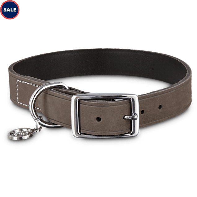 Bond Co Gray Suede Dog Collar Large Petco