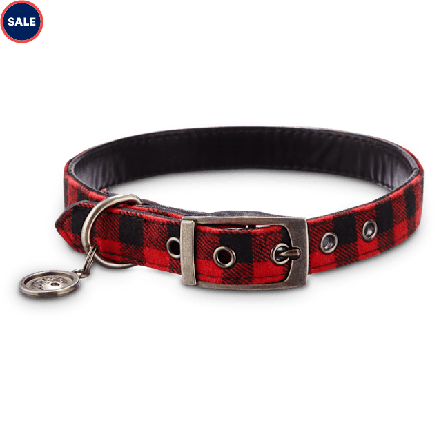 Buffalo dog collar Clearance