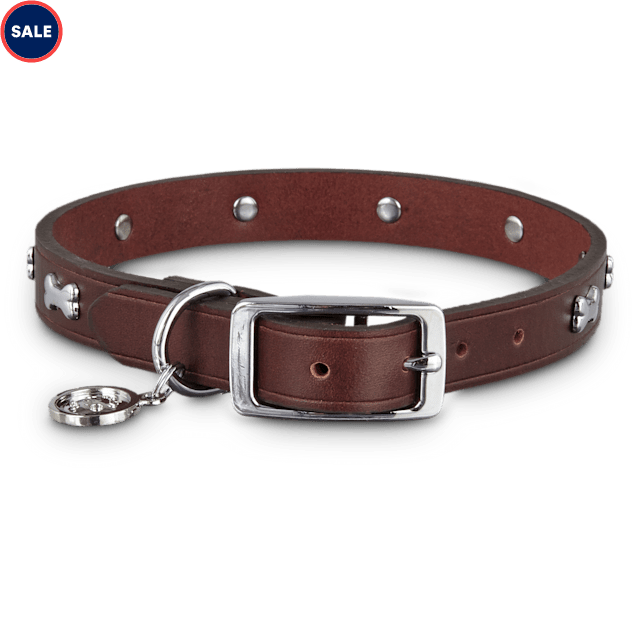 Brown Leather Bone Stud Dog collar